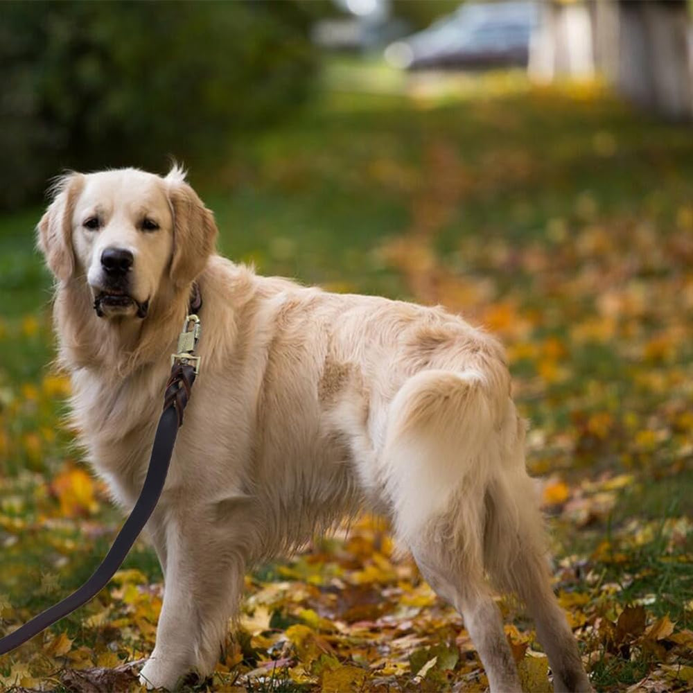 LWBMG leather dog leash being held highlights comfortable grip during walks.