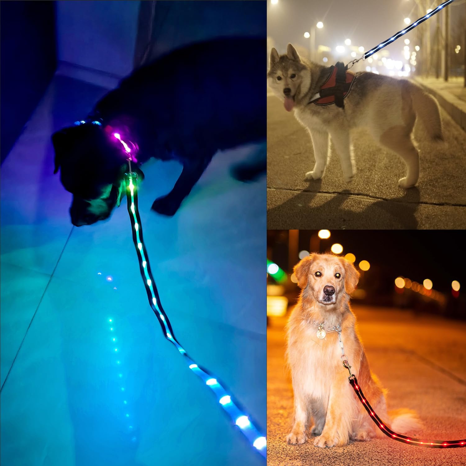 LWBMG Led Dog Leash 6ft length fits small to large dogs.