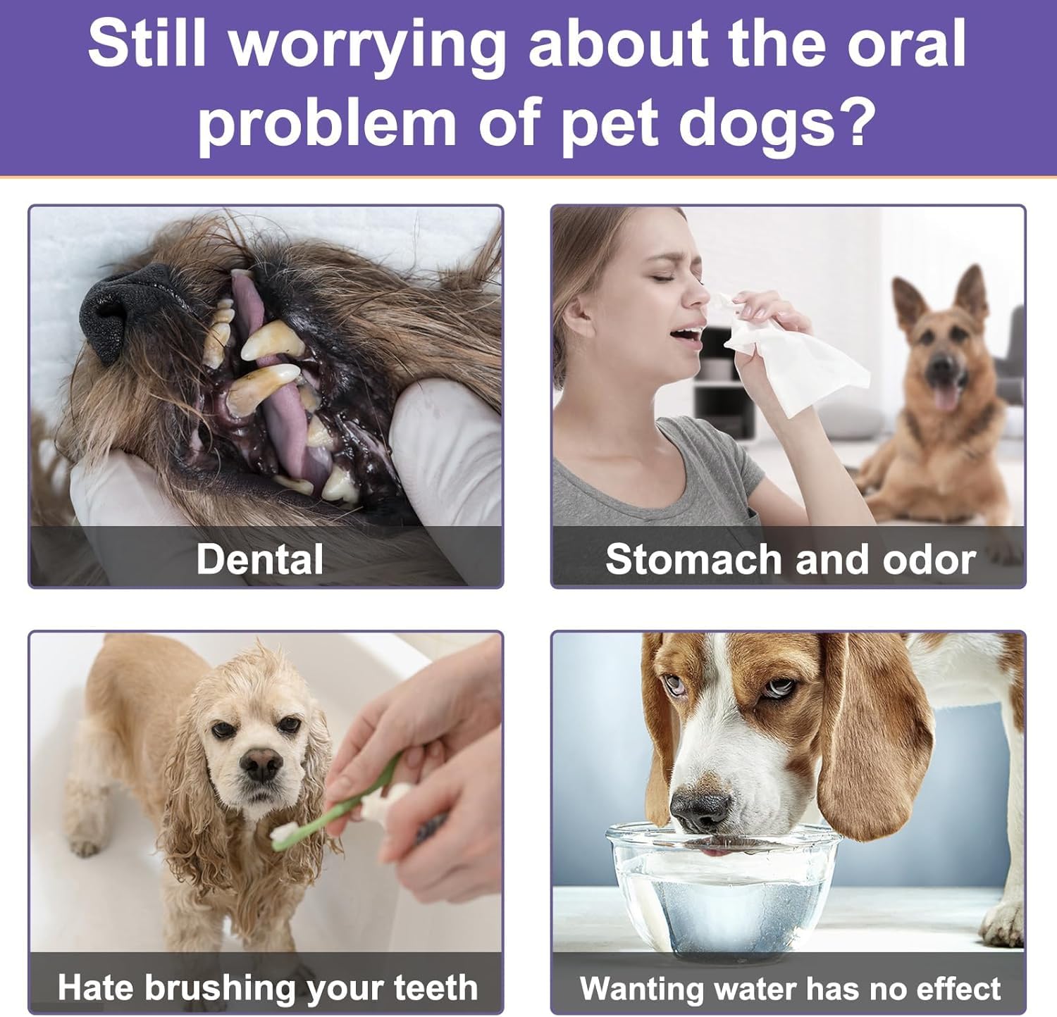 Lxitian natural ingredients ensure safe daily oral care for dogs