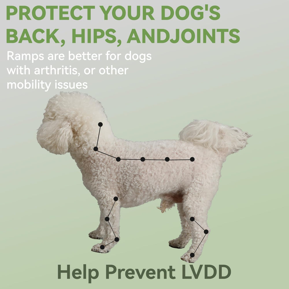 LY dog ramp-solid-wood-frame emphasizes durability and stability.