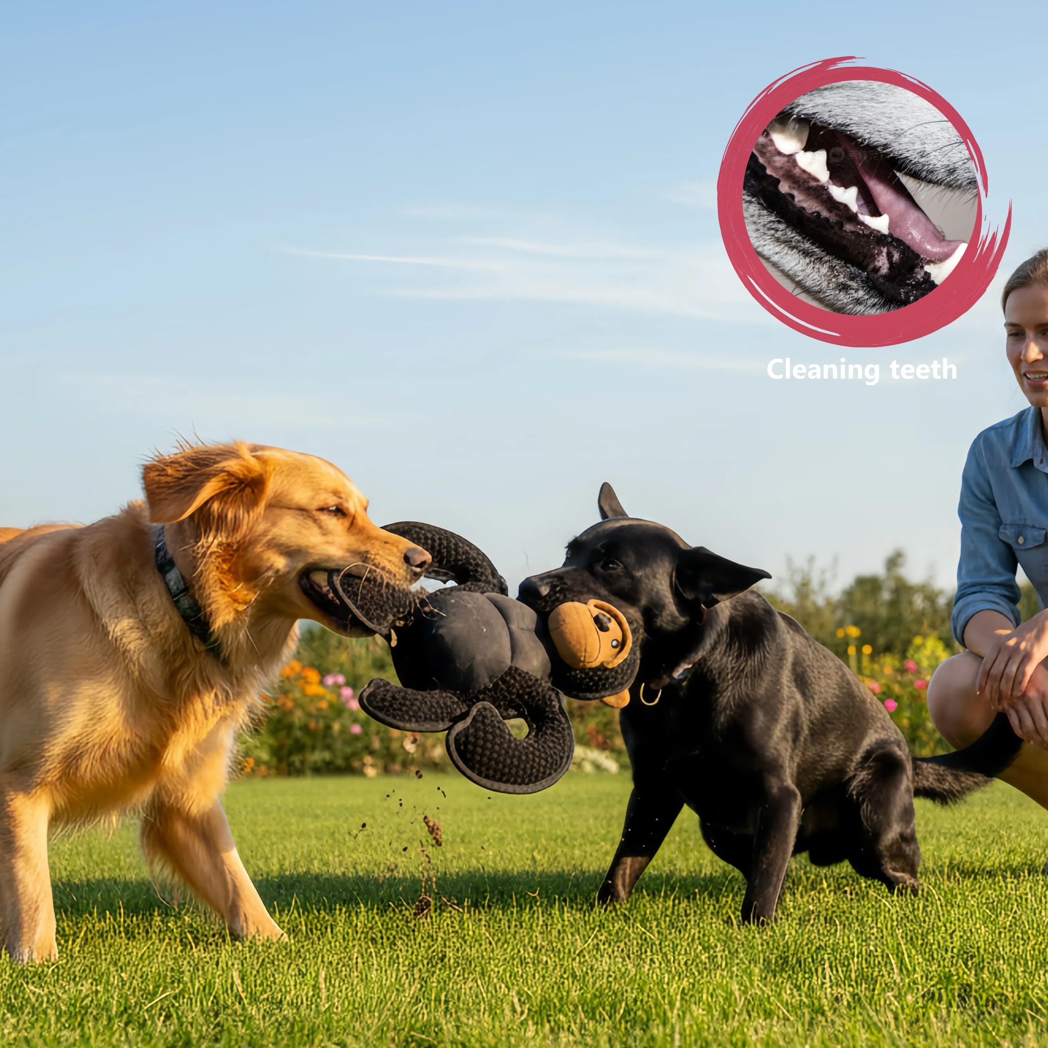 LydaPKS safe-toy with reinforced edges for durable fun, supervised play.