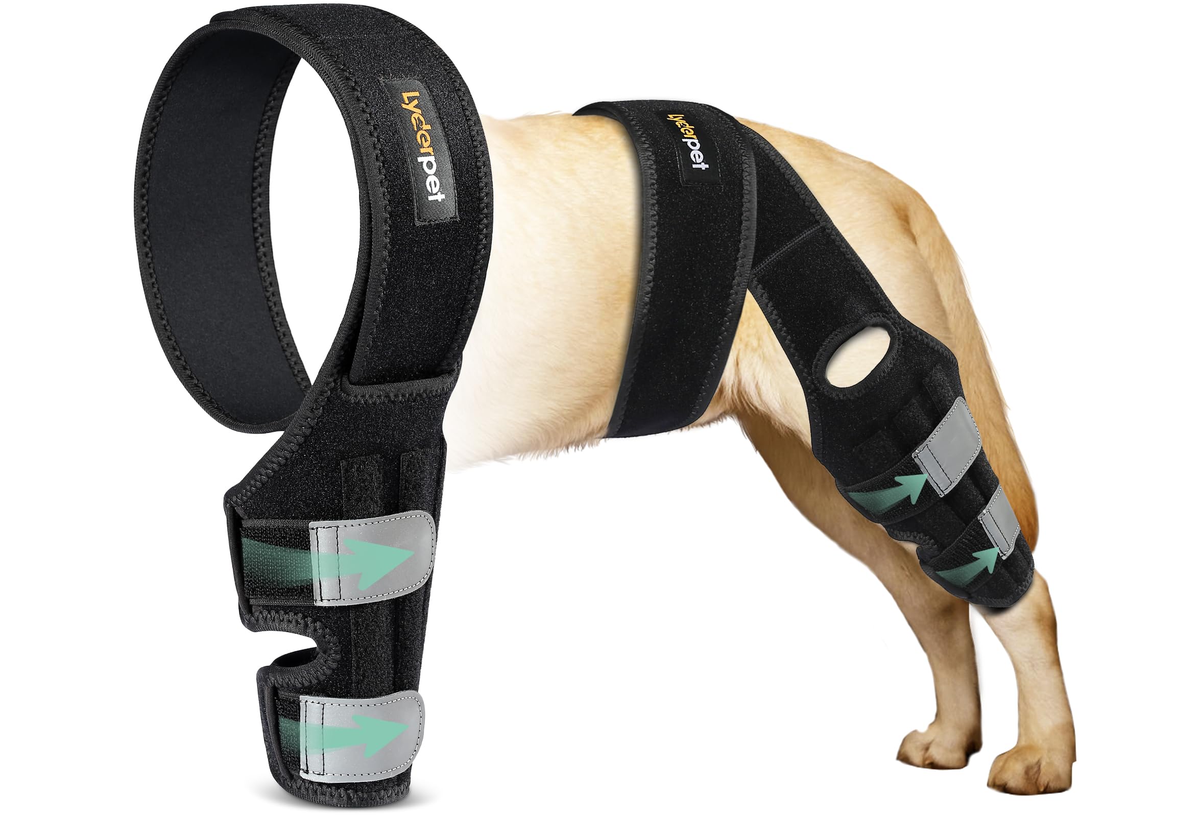 Lyderpet dog ACL knee brace on leg supports stability during daily activity.