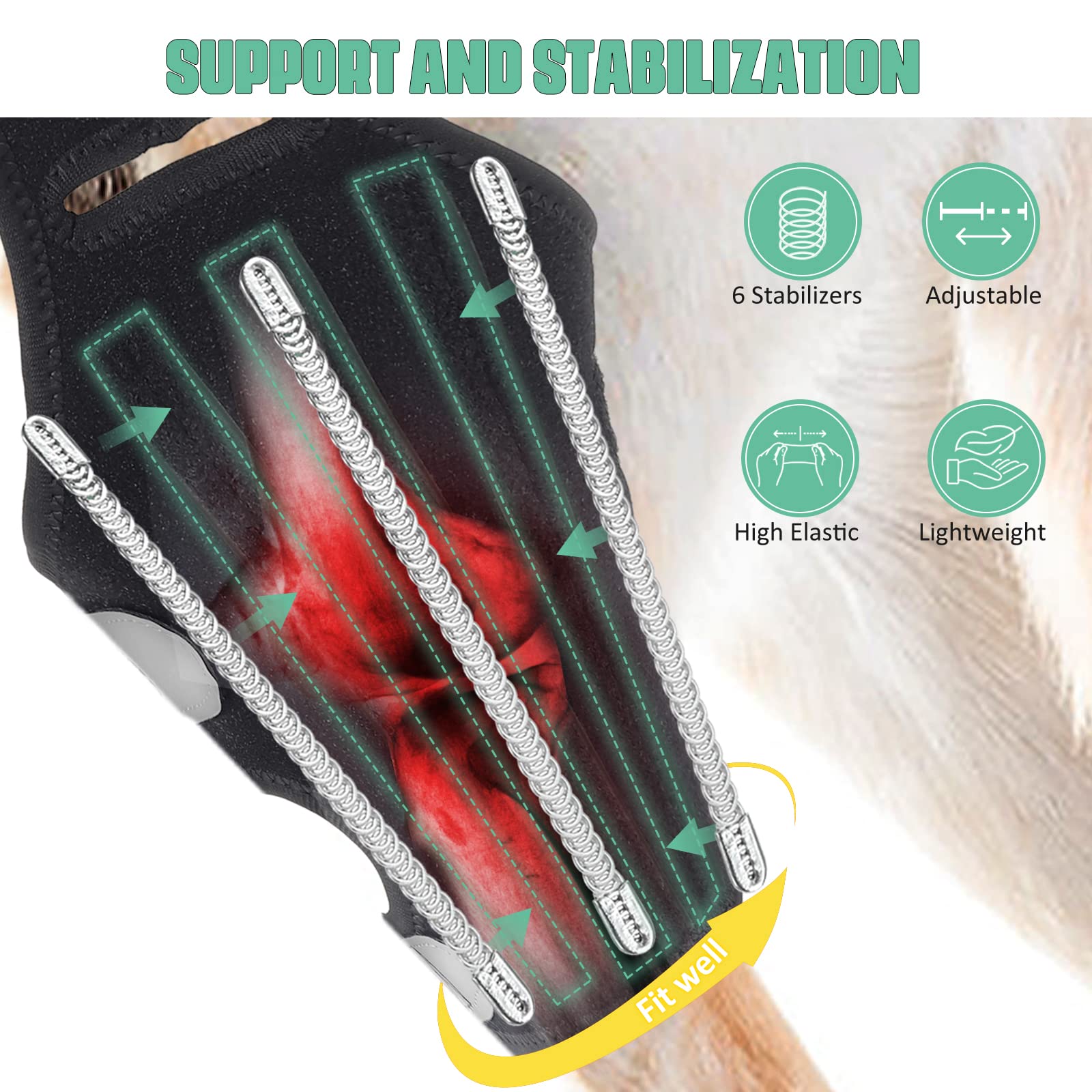 Lyderpet dog knee brace side view demonstrating hind leg fit