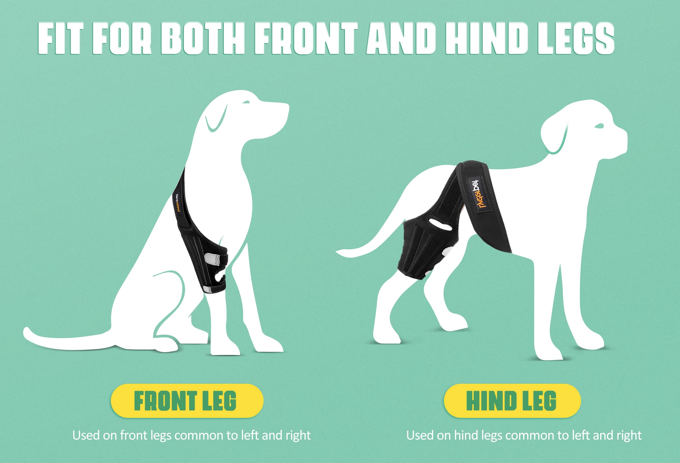 Lyderpet knee brace with metal springs detail highlighting stability during walks
