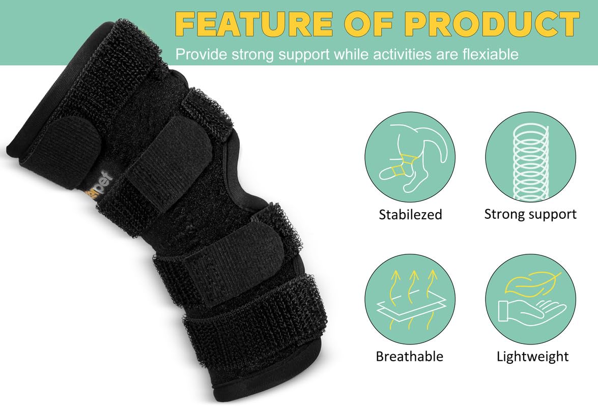 Lyderpet brace side springs visible for added durability during activity