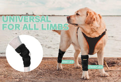Lyderpet rear-leg brace four-strap Velcro provides secure, adjustable fit