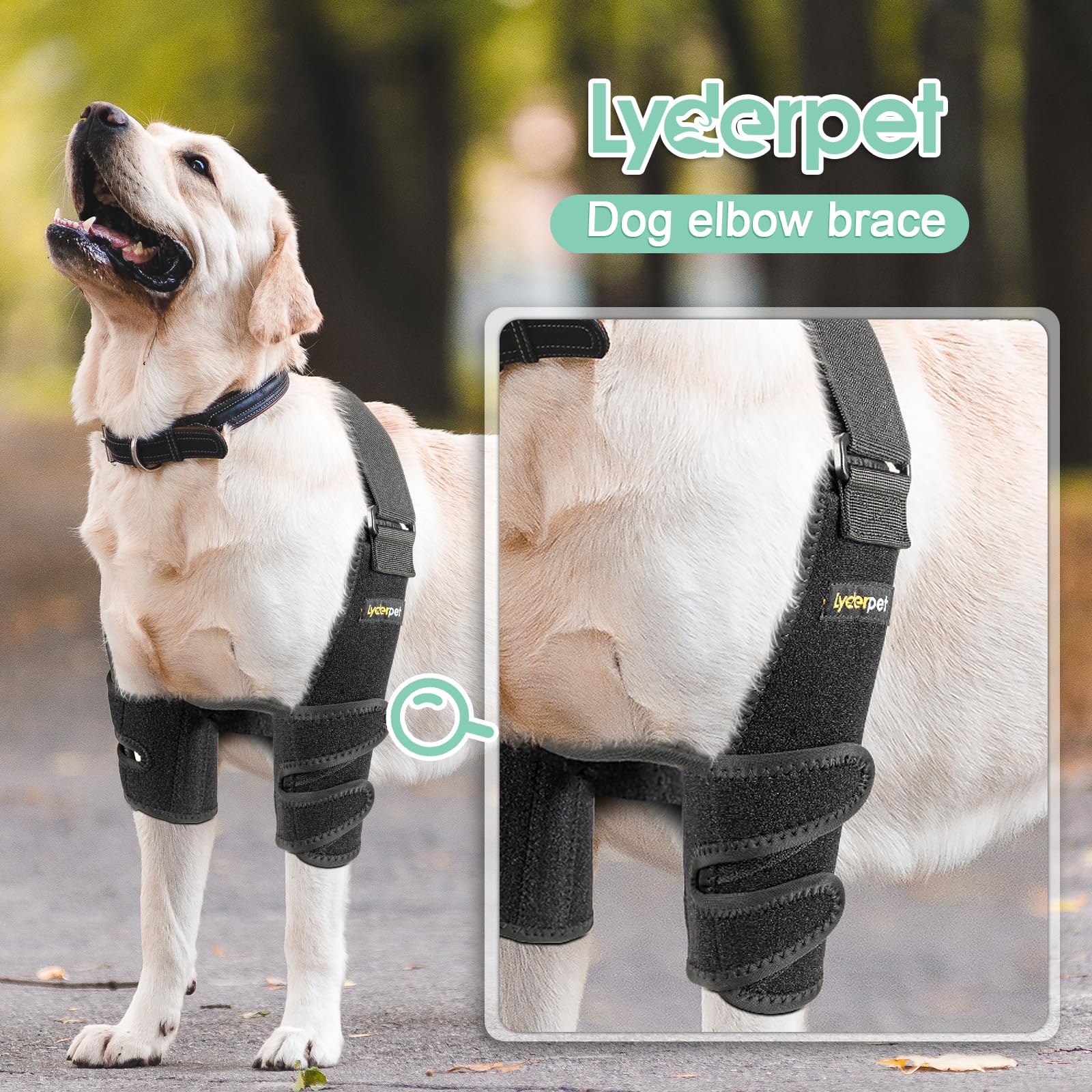 Lyderpet elbow brace adjustable straps for a secure non-slip fit.