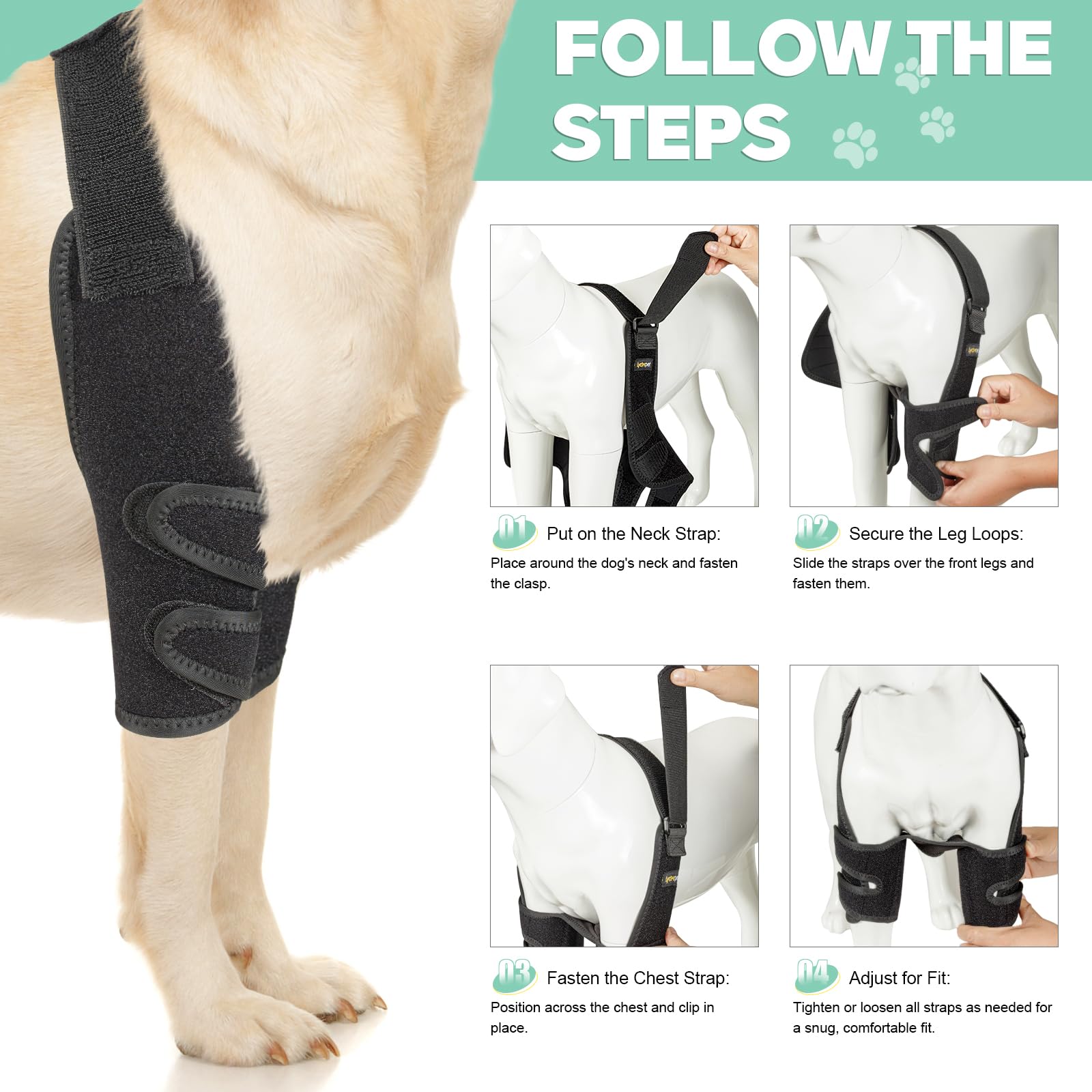 Lyderpet elbow brace in use during a dog walk and play.