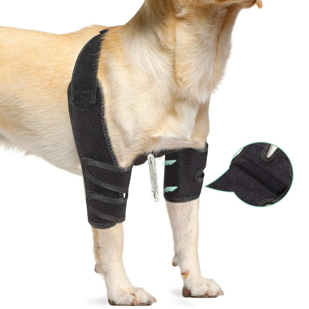 Lyderpet elbow brace close-up showing the metal splint for stability during walks.