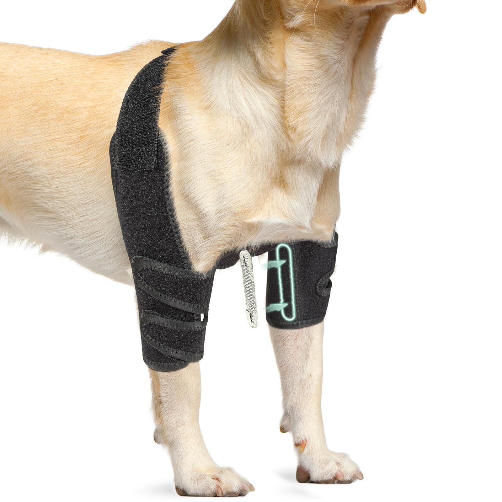 Lyderpet front-leg support brace for both legs during daily activities.