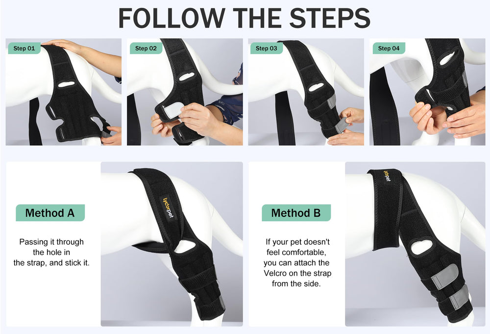 Lyderpet pain relief dog brace focusing on inflammation and improved comfort during recovery.