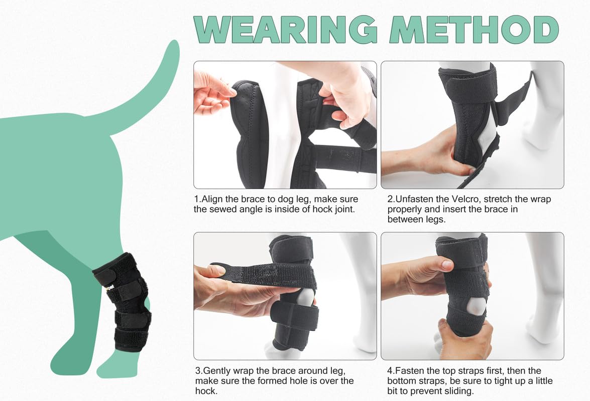 Lyderpet four-strap Velcro system ensures secure, adjustable fit.