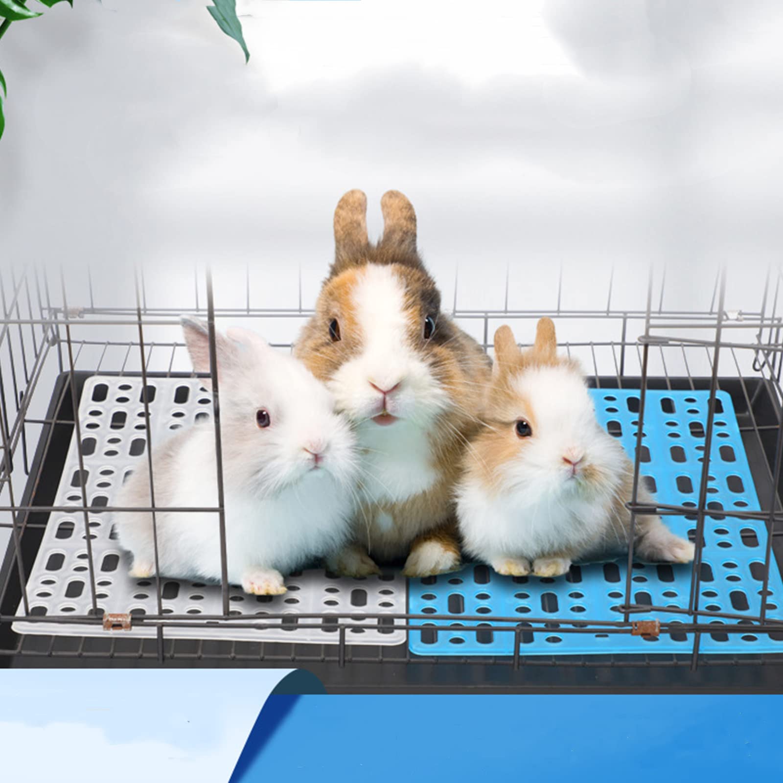 Lyellfe 12-pack rabbit cage mat colors demonstrates versatile, color-coordinated setup.