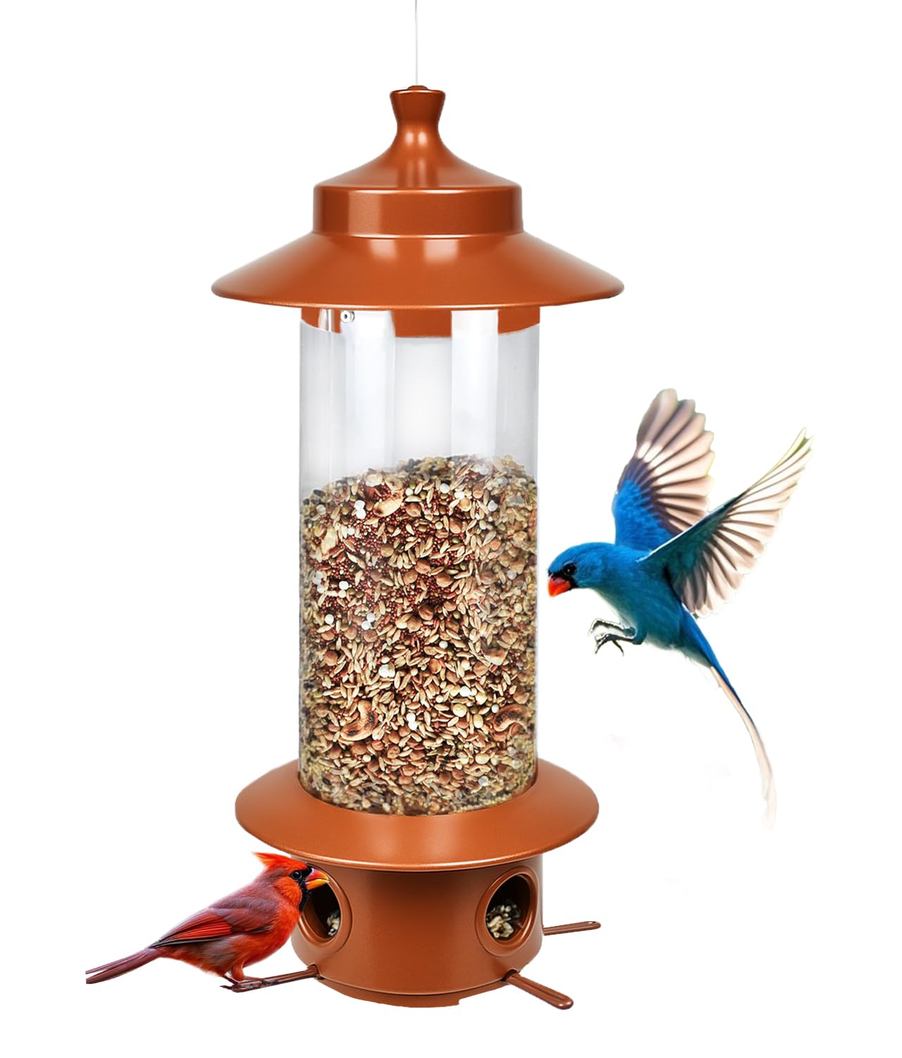 LYKENTOR squirrel-proof feeder with rust roof for durable outdoor use attracting birds