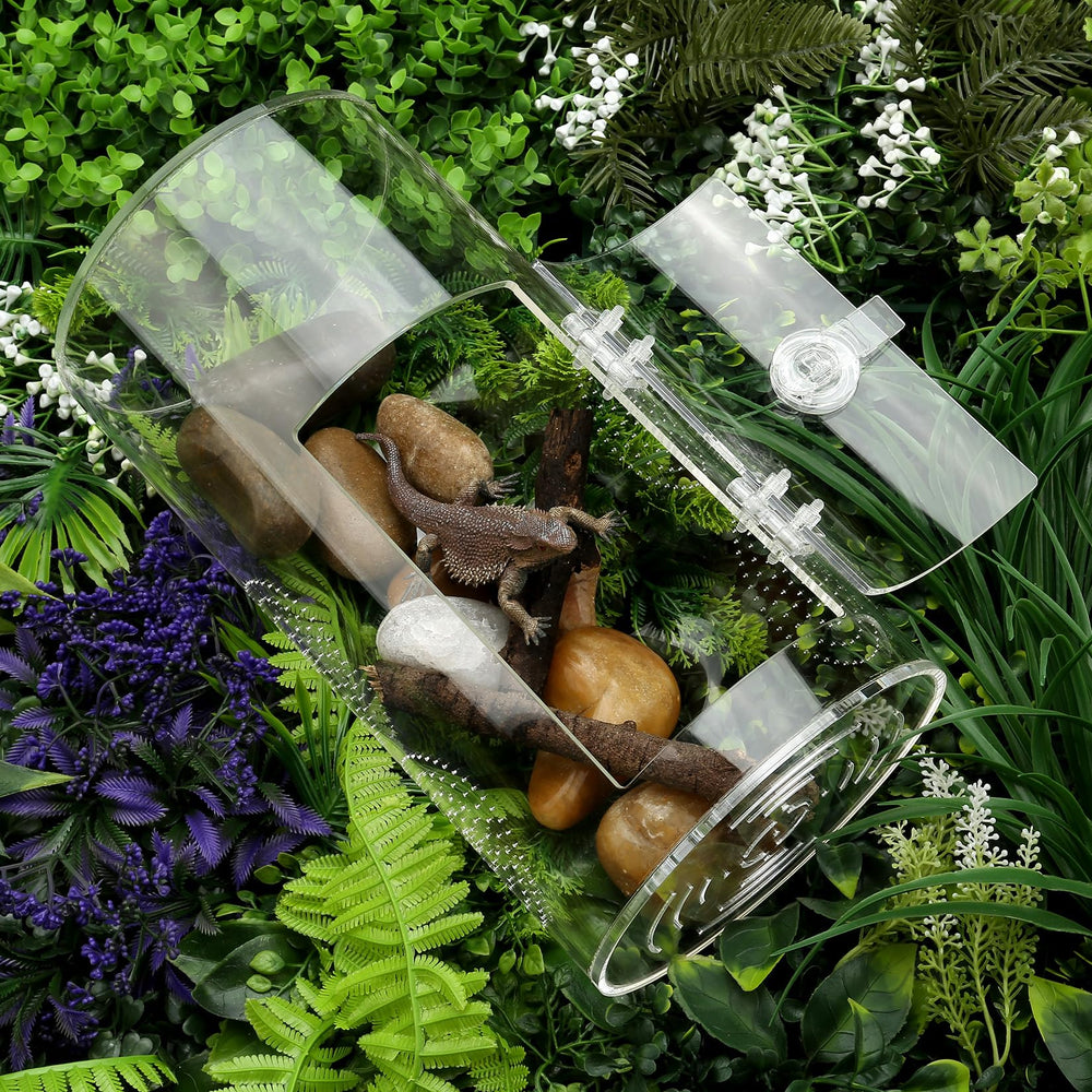 LYL LEYOULAND plant greenhouse display aesthetic in terrarium setups