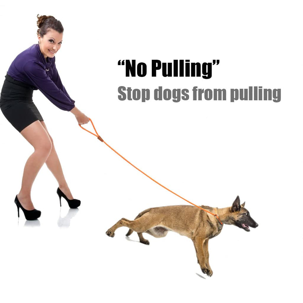 Lynxking slip lead easy-slip-on-off streamlines starting and stopping training sessions.