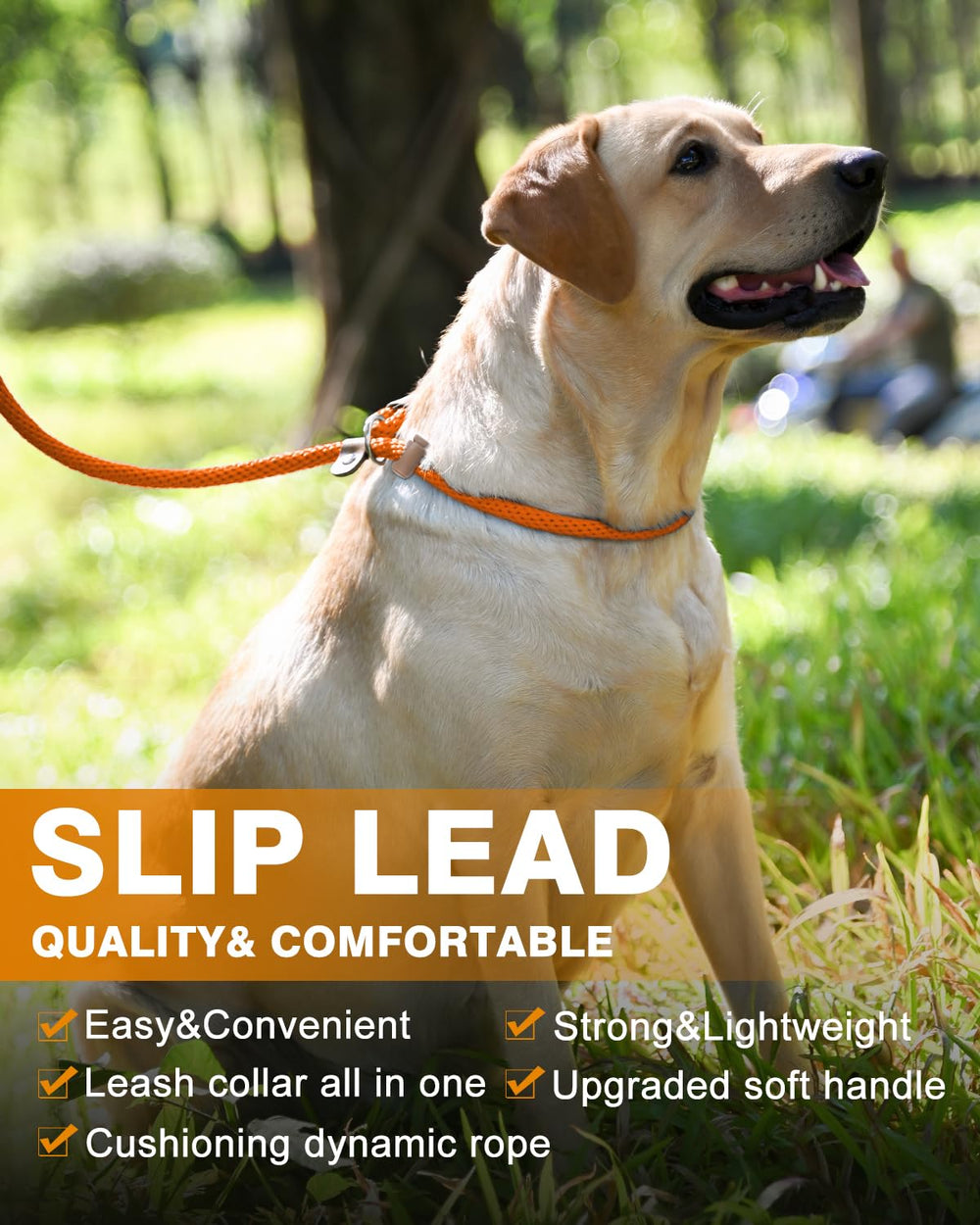 Lynxking slip lead no-pull design supports calm training sessions