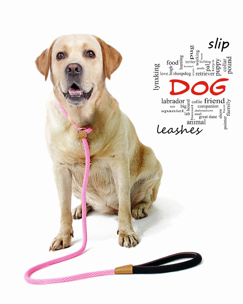 Lynxking slip lead sturdy-metal-ring ensures reliable leash connections.
