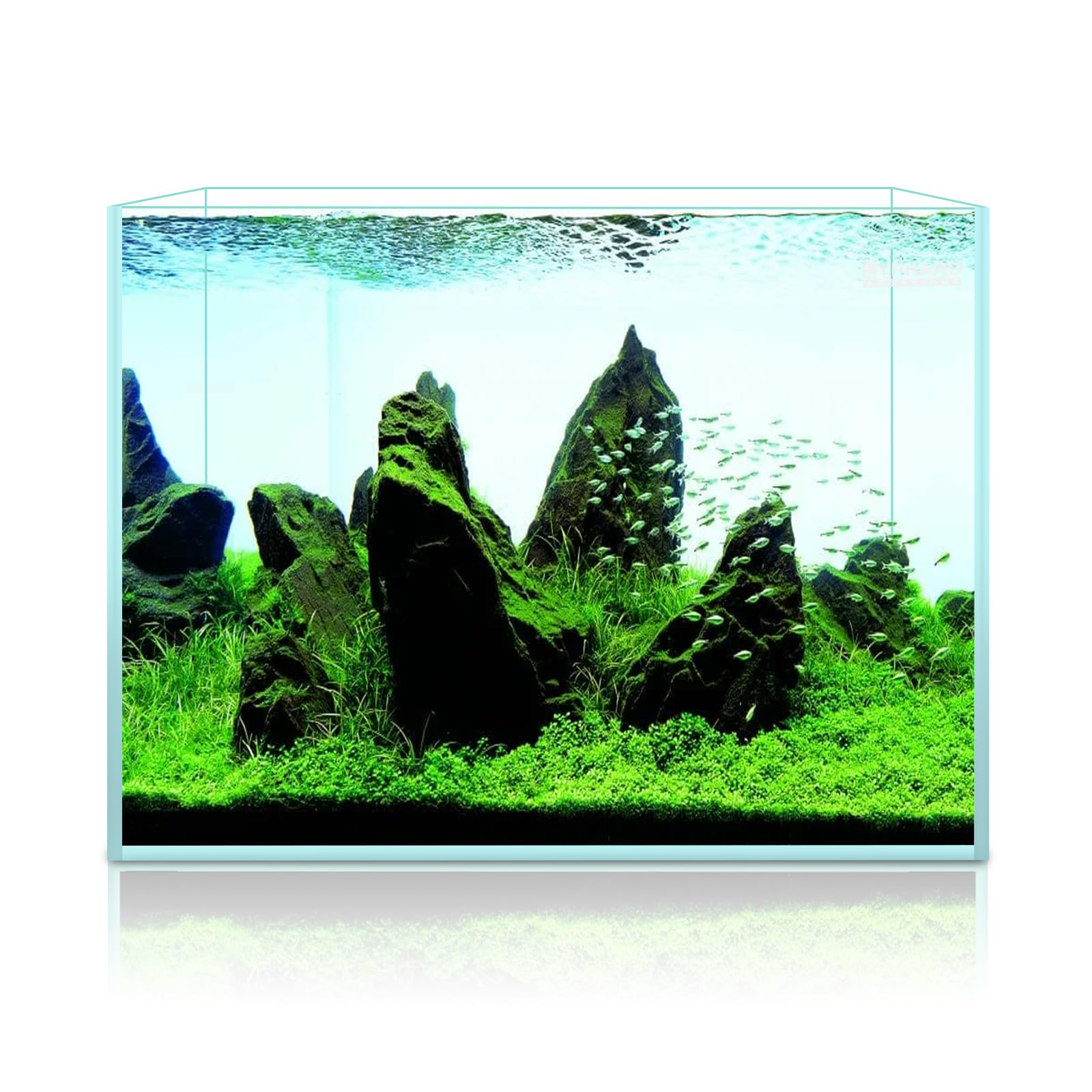LYPHARD AQUARIUMS 5mm glass rimless design enables expansive viewing
