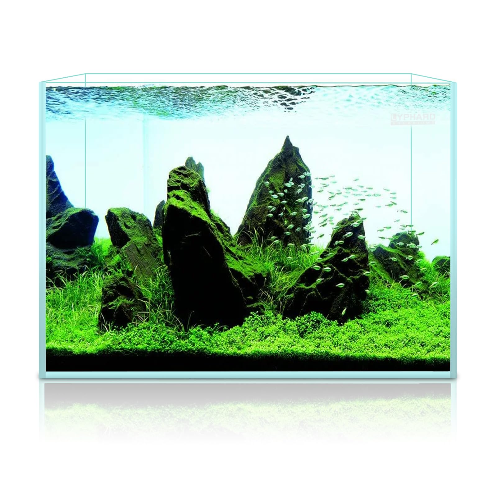 LYPHARD AQUARIUMS betta-friendly tank suitable for freshwater or saltwater