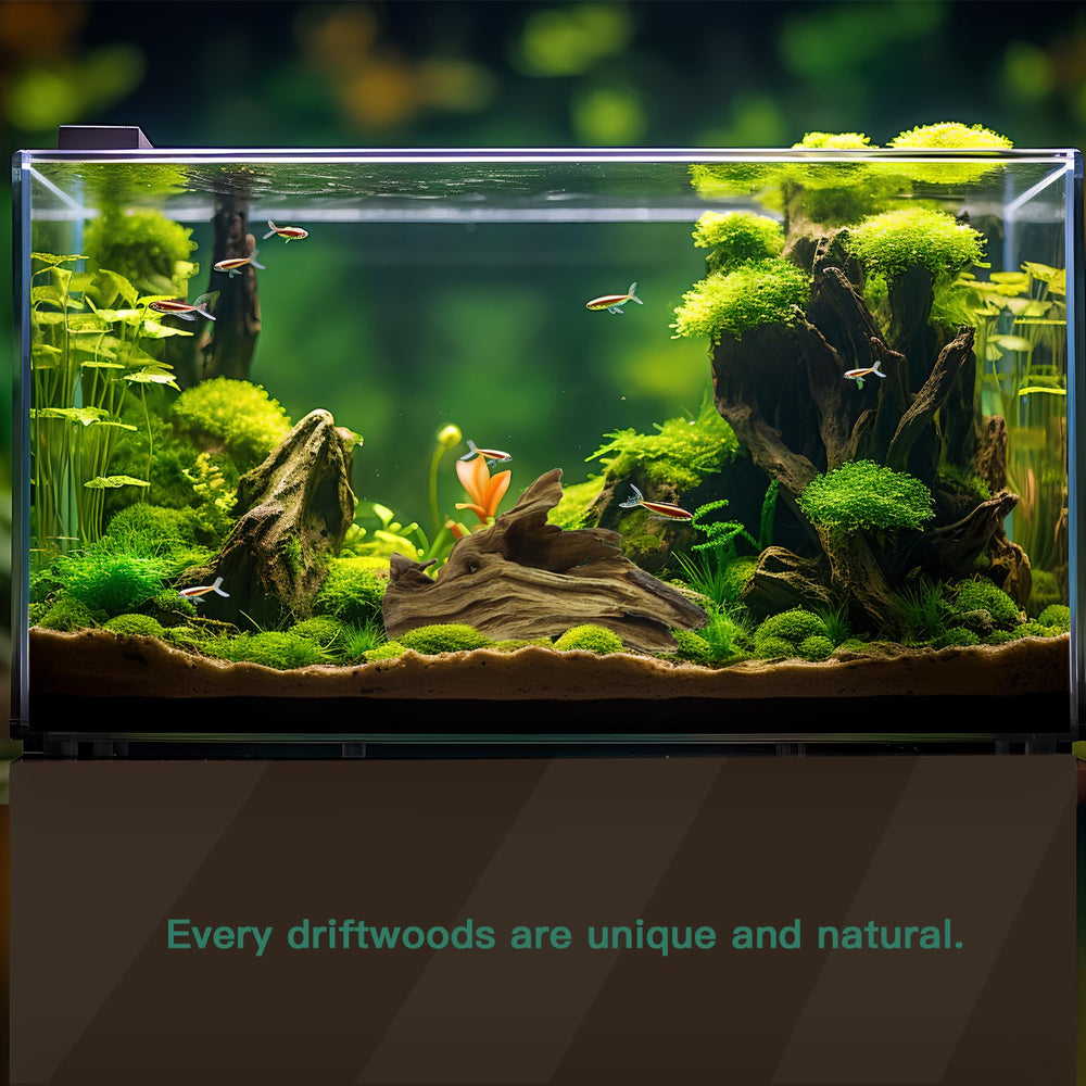 Lyphard Aquariums driftwood decor enhances realistic aquatic landscaping in tanks and terrariums.