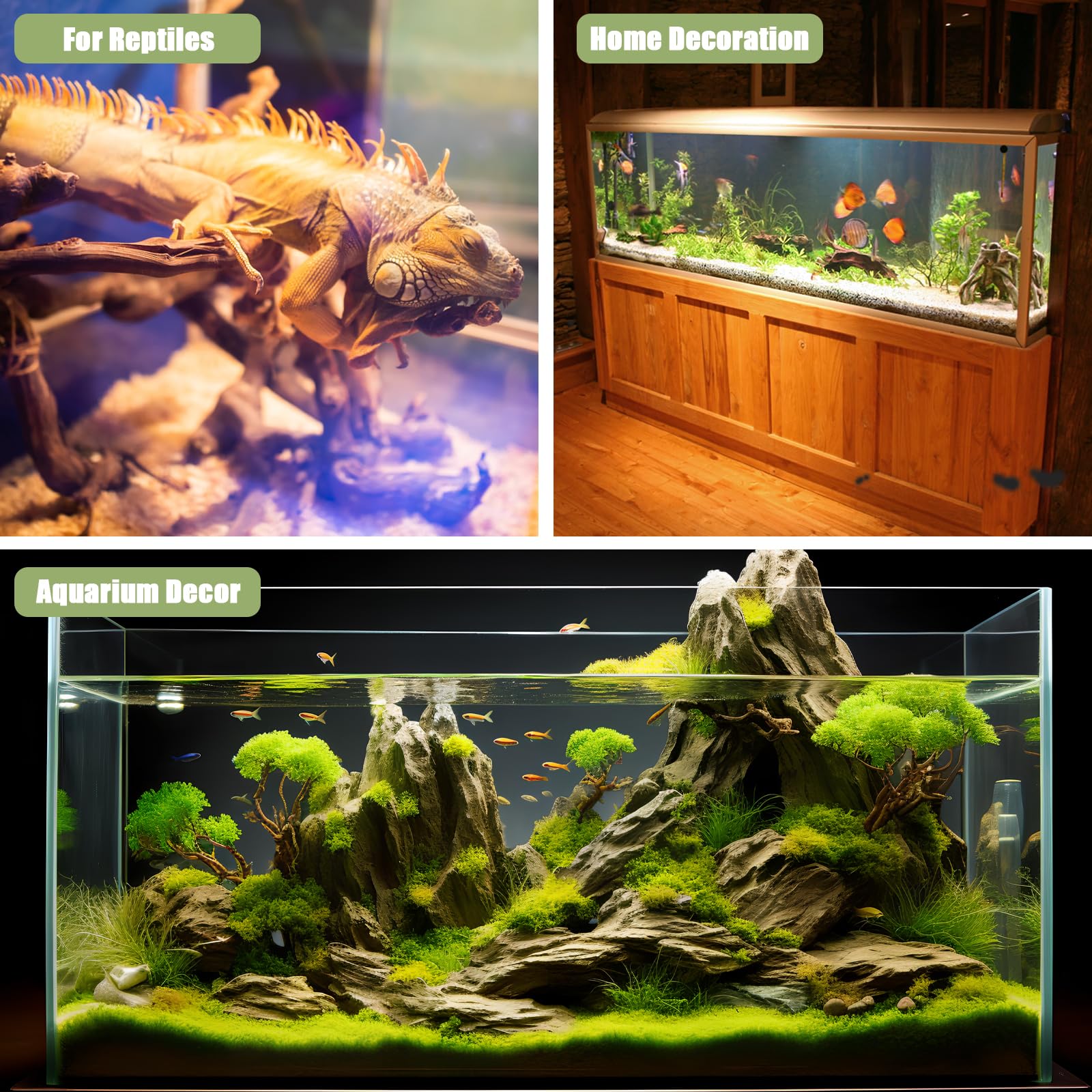 Lyphard Aquariums driftwood supports reptile habitats with natural decor.