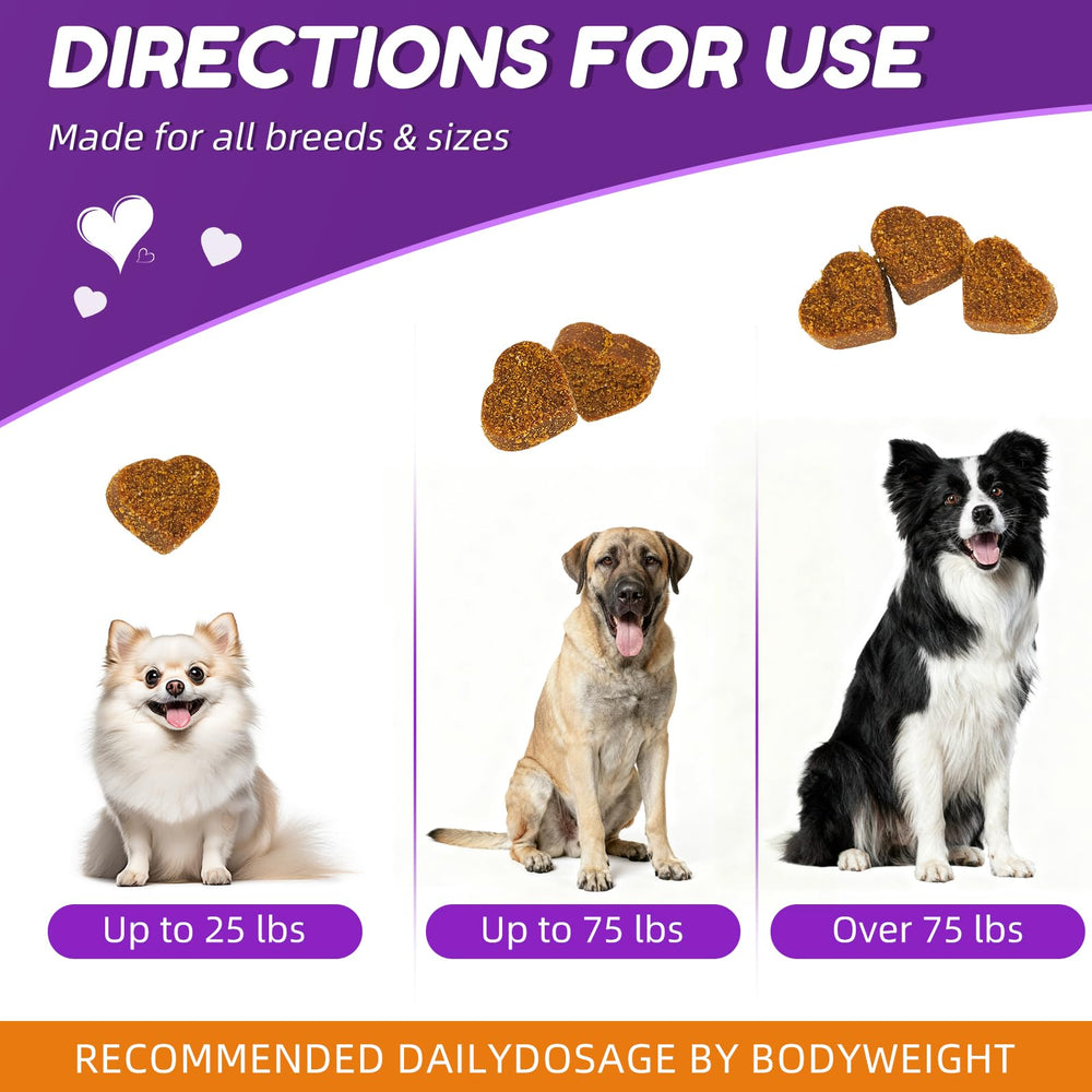 Lysimi dog chewing joint care chews during playtime for mobility support.