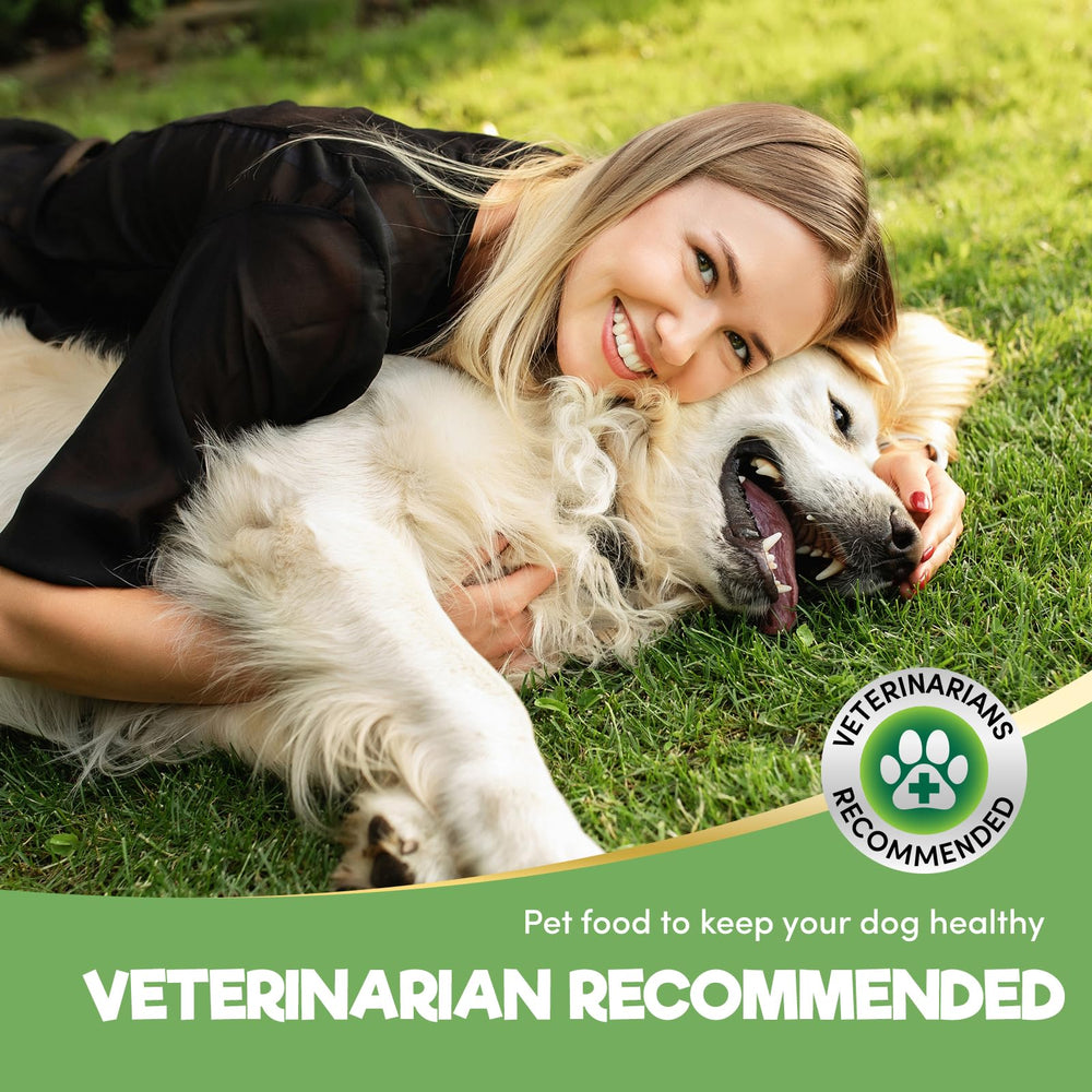 Lysimi dog dental powder probiotics bottle emphasizes gut-friendly solution.