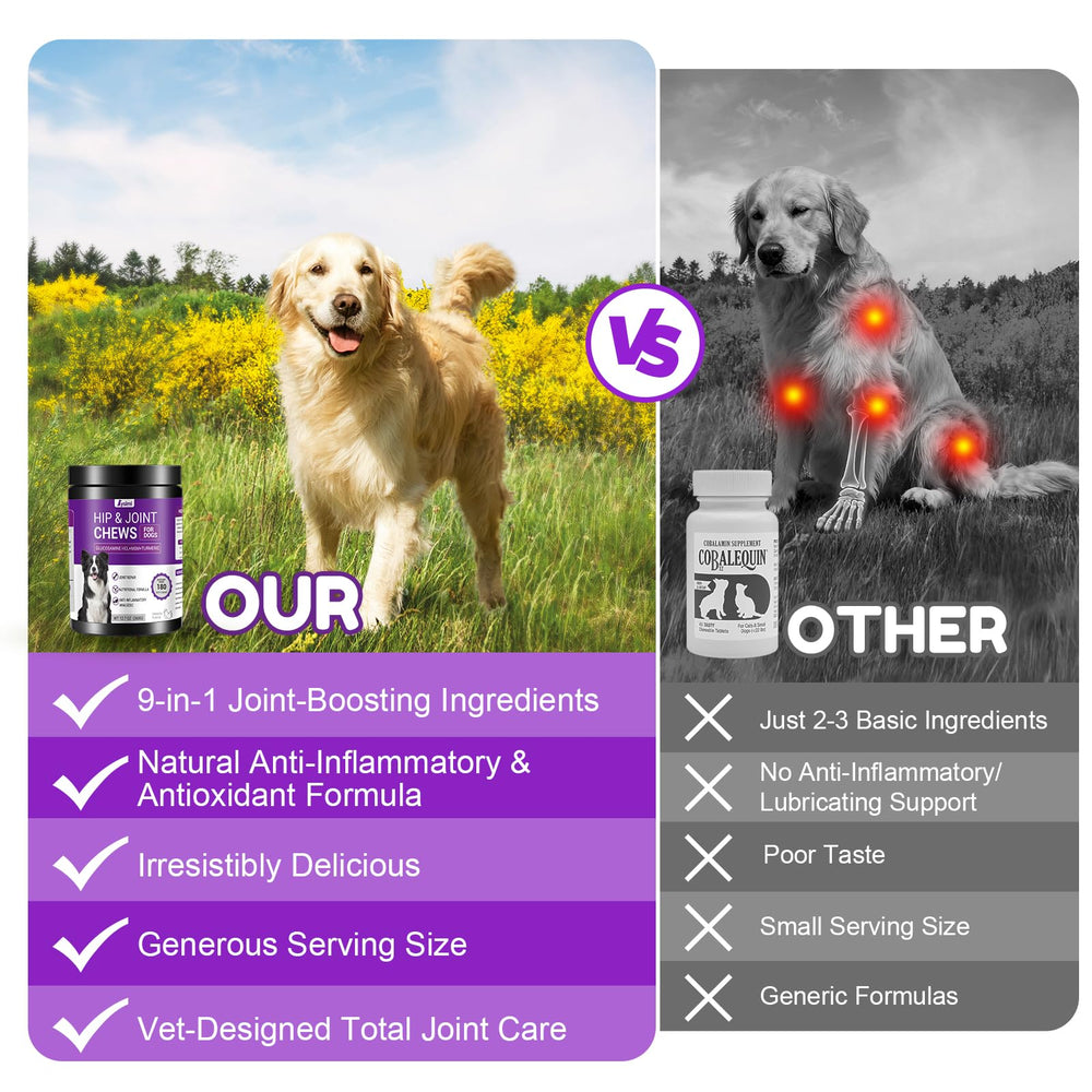 Lysimi dog joint care soft chews close-up during treat time routine.