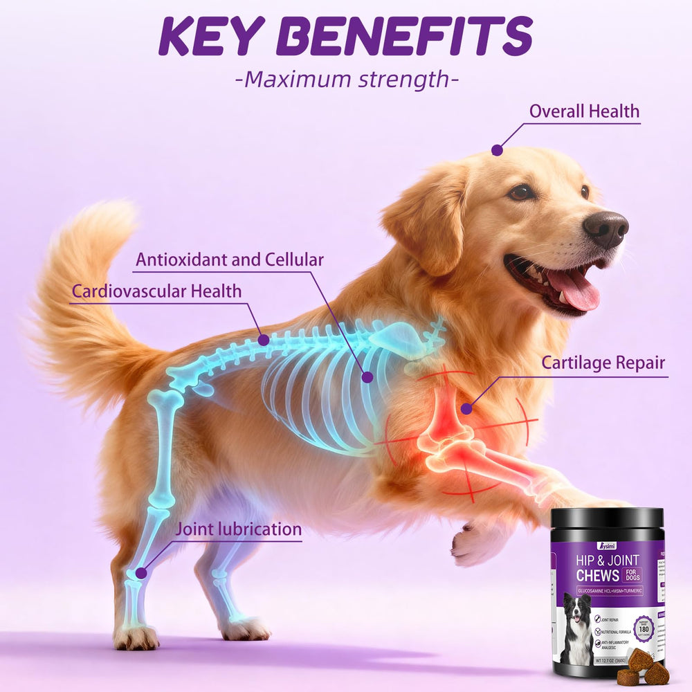 Lysimi hip joint supplement ingredients close-up highlighting glucosamine and chondroitin.