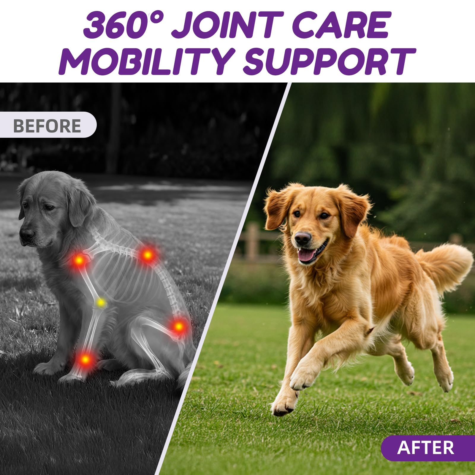 Lysimi packaging label vet-tested formulation for safe canine joint support.