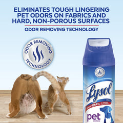 Lysol Pet Odor Eliminator Spray pack-3 demonstrates value for multiple rooms.