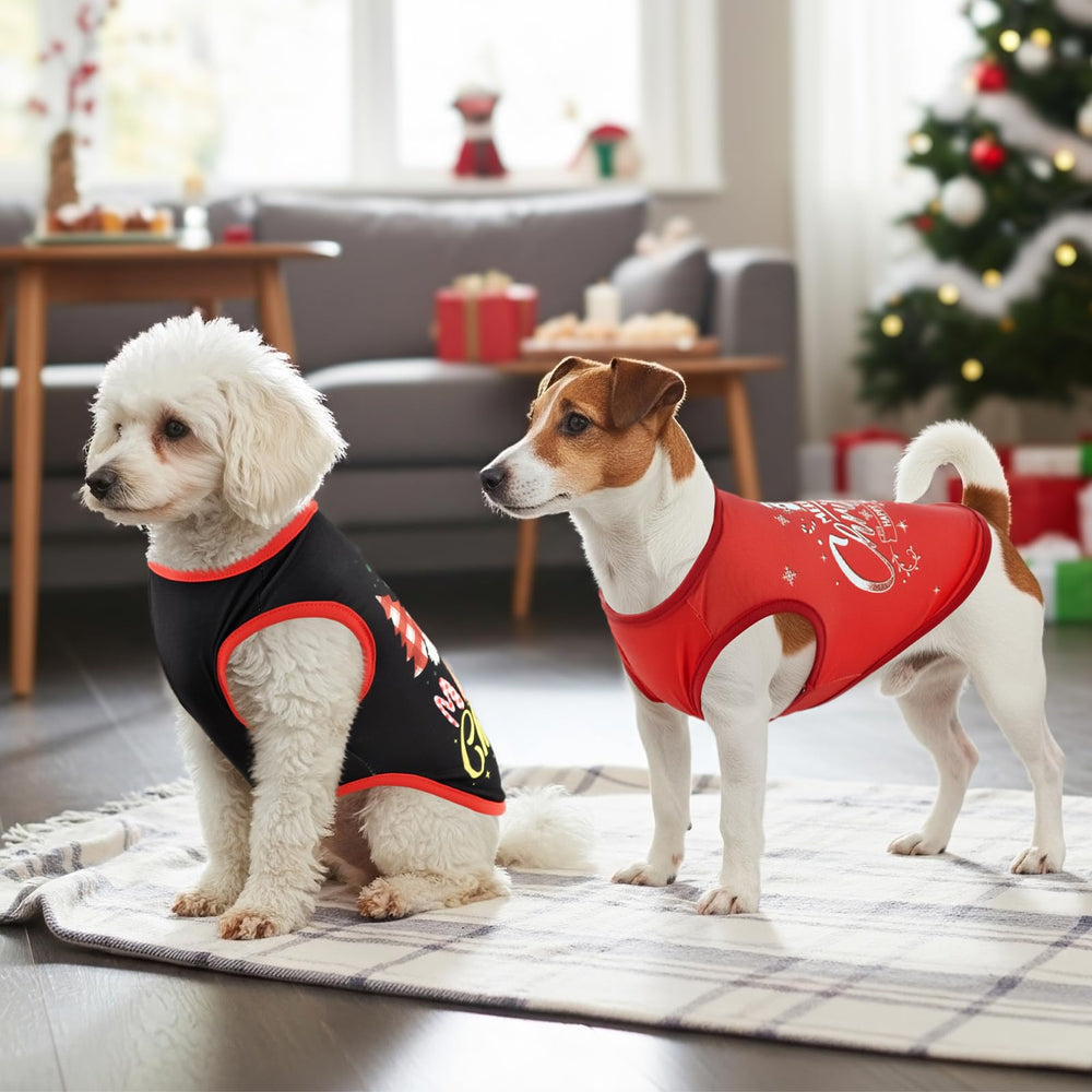 LyssKMK pullover dog shirt, easy on-off design for busy mornings.