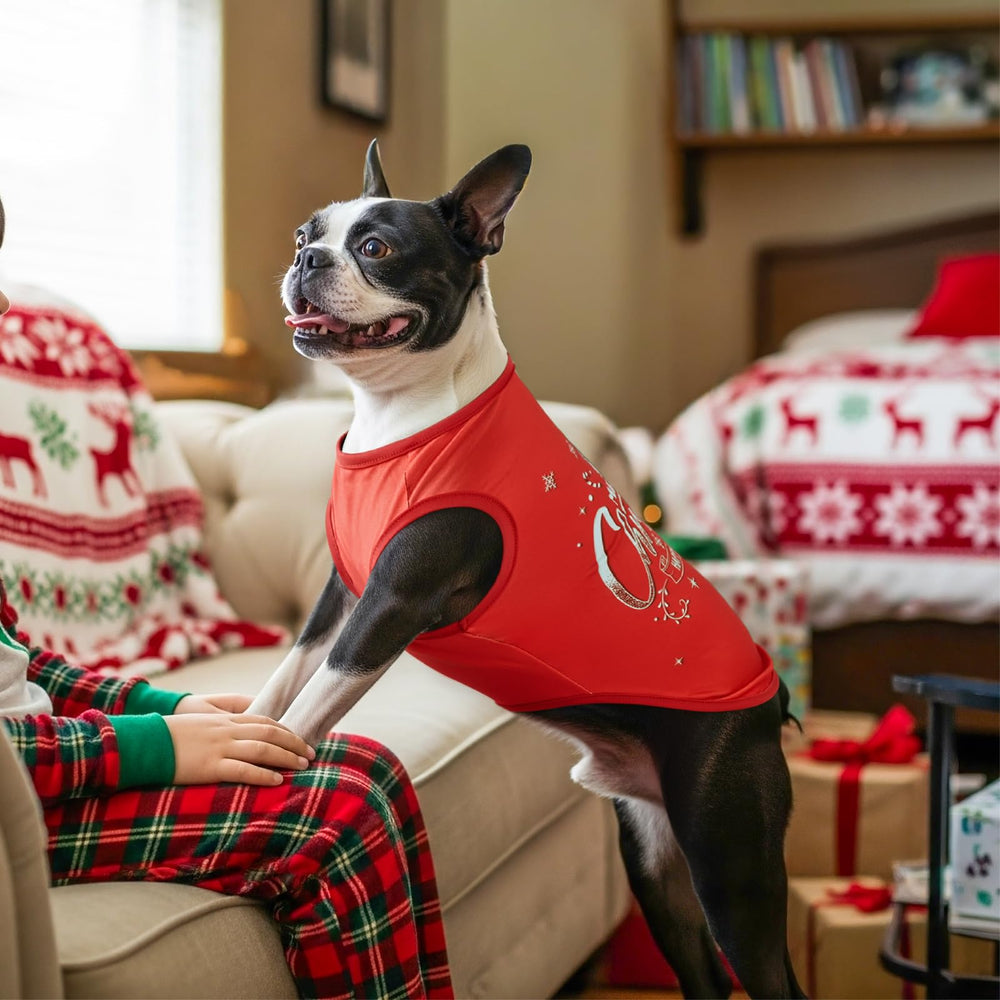 LyssKMK soft cotton breathable dog shirt, comfortable all-season wear.