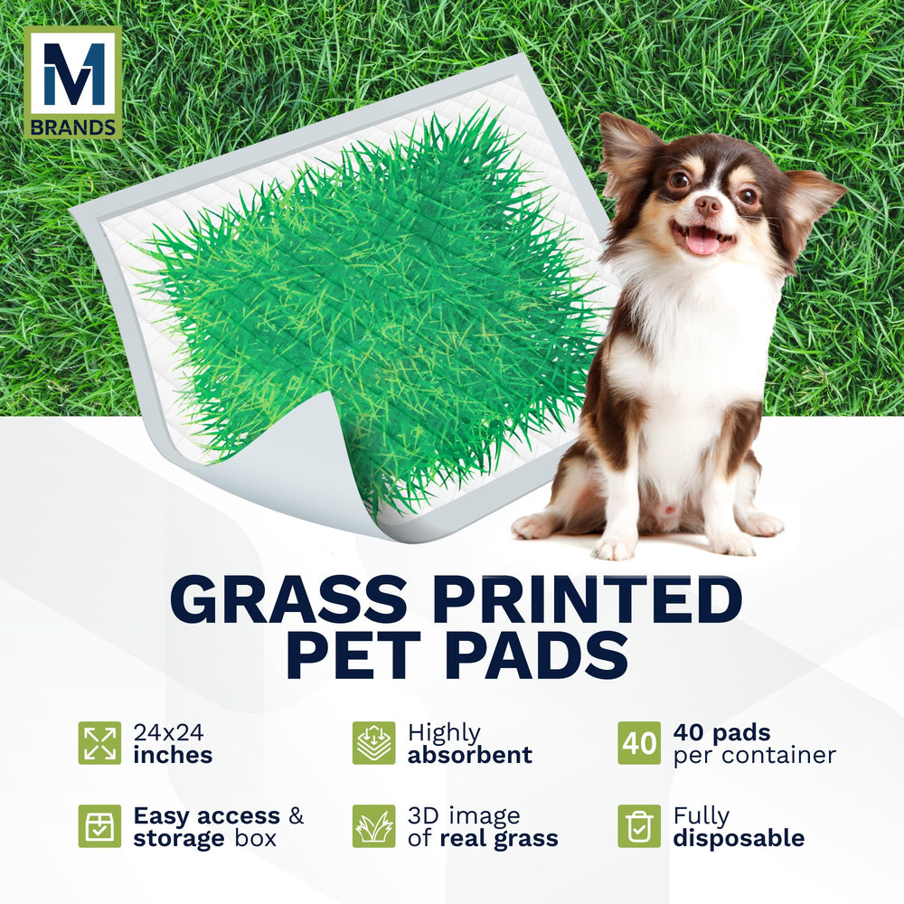M BRANDS Big Dawg 24x24in pet pad on floor for quick potty breaks.