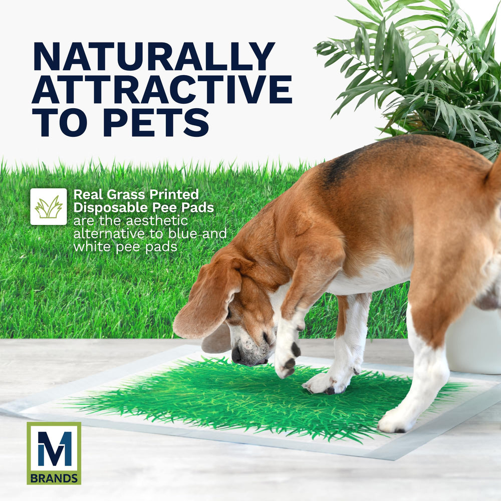 M BRANDS Big Dawg adhesive corners keep grass-pads flat on floors.
