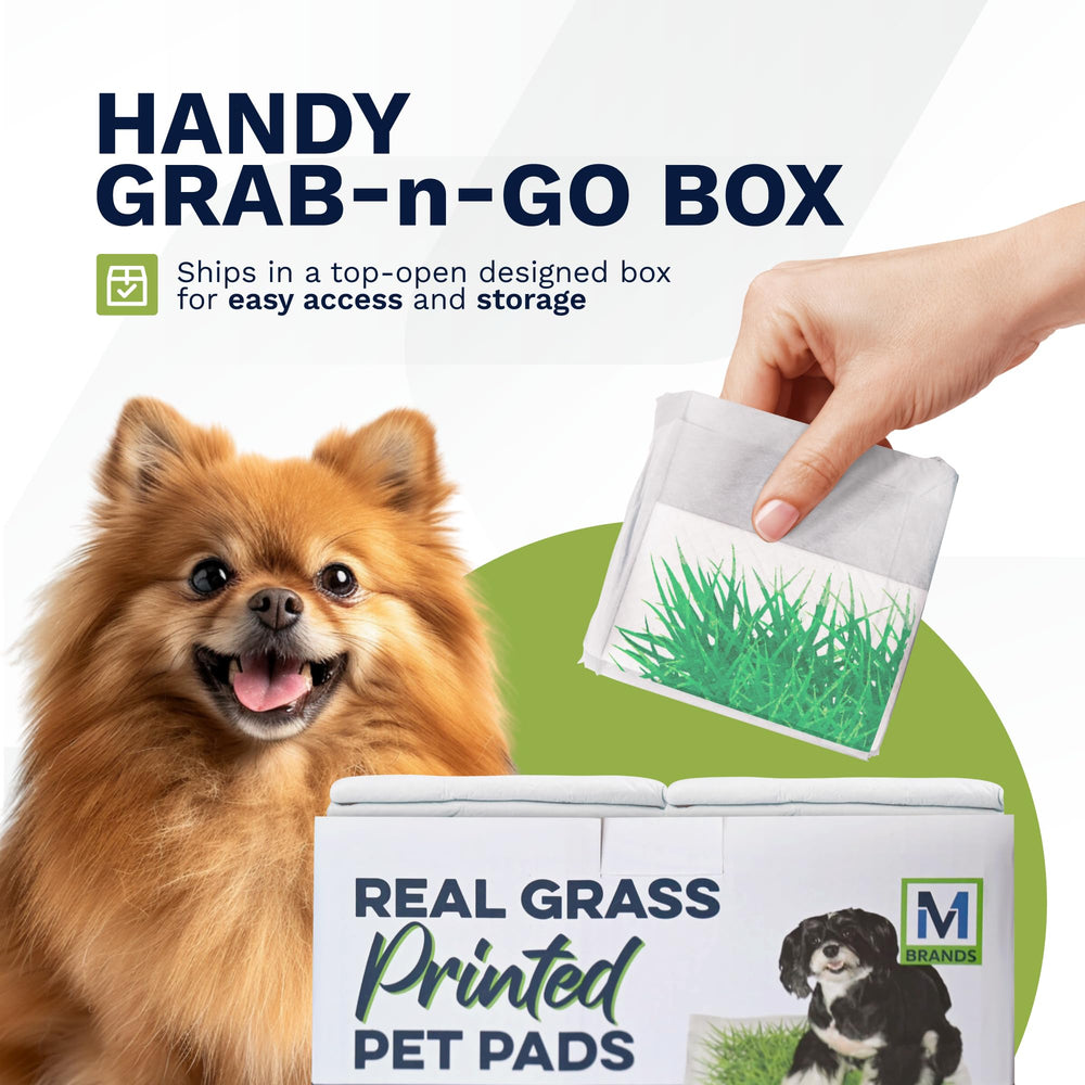 M BRANDS Big Dawg grab-n-go box enables fast pad access.