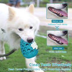 M.C.works Dragon Egg toy hollow cavity ready for flavor inserts enhances chewing