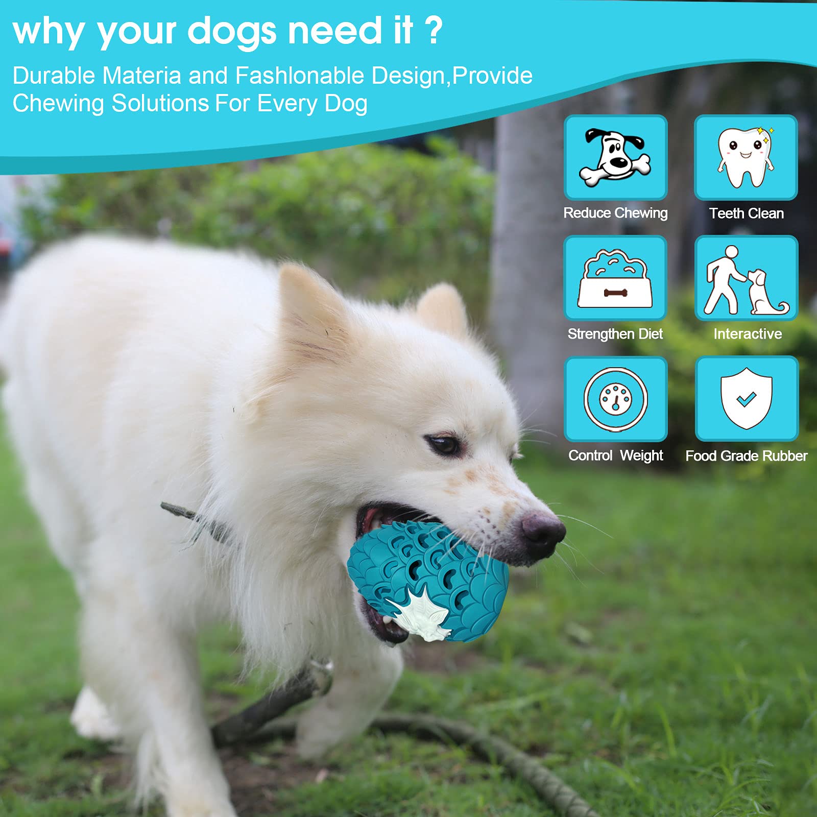 M.C.works Dragon Egg toy safety image highlights non-toxic rubber for dogs