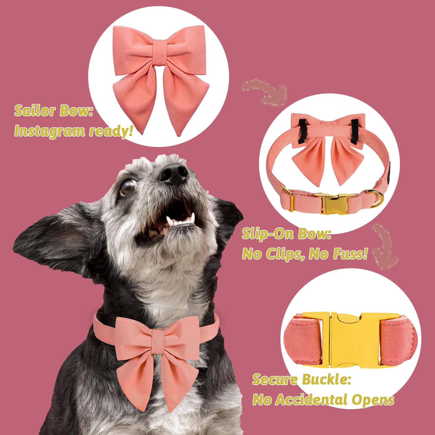 Measuring a dog's neck for the perfect fit with M MACA BATES collar.