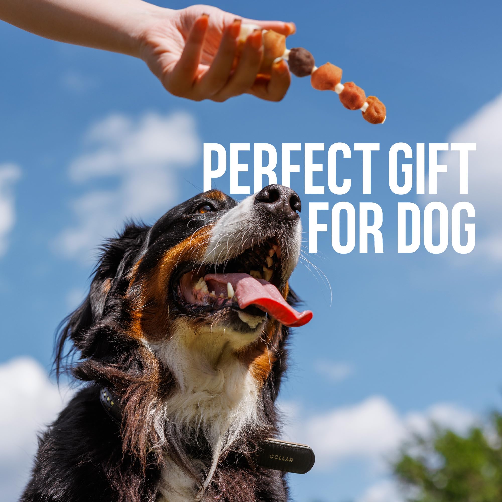 M-PETS Kabobs como regalo sabroso para perros en casa o de viaje