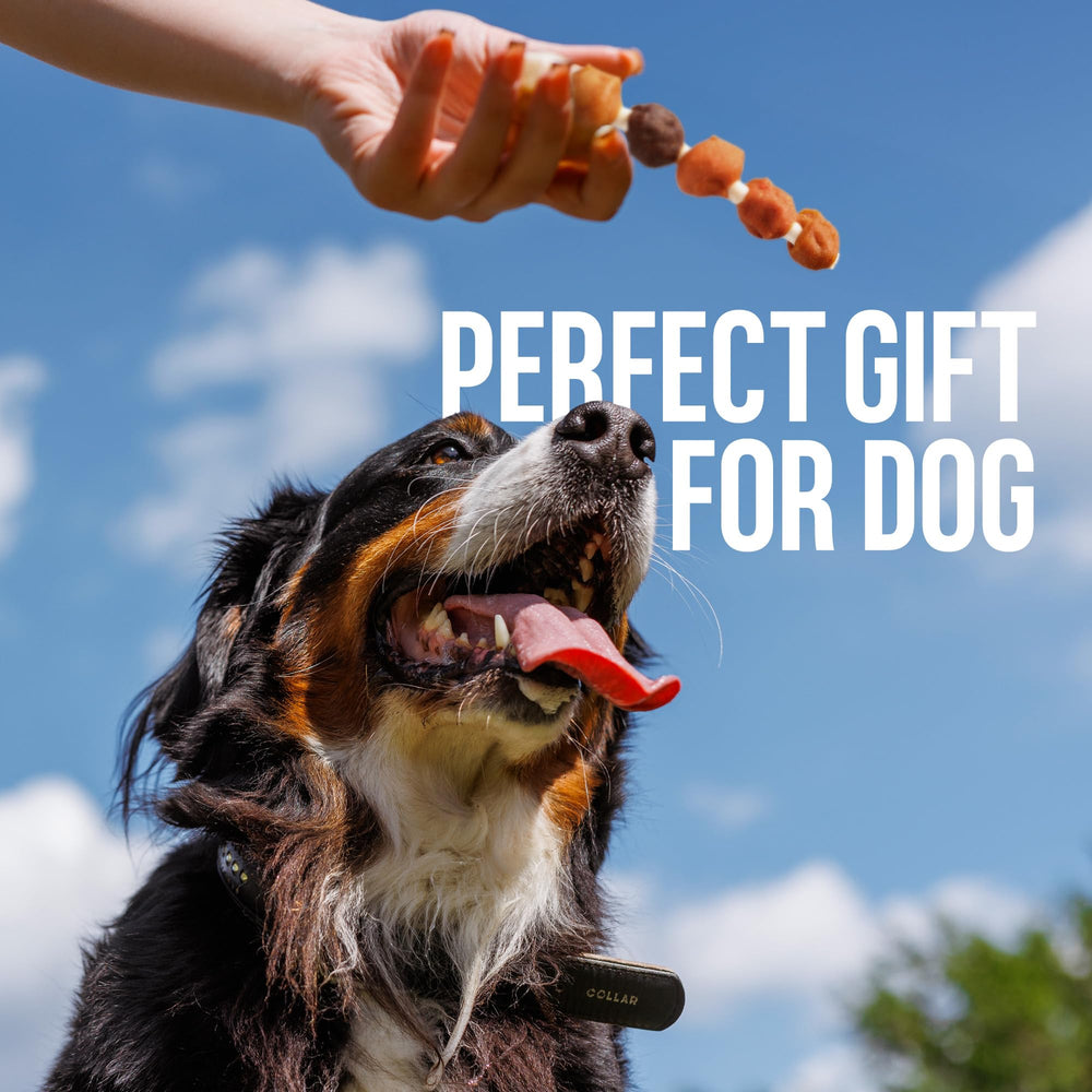 M-PETS Kabobs como regalo sabroso para perros en casa o de viaje