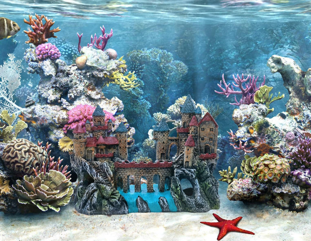 M2cbridge castle-cave-fish-hideout creates engaging hiding places for small species.