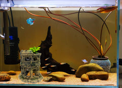 M2cbridge european-castle-rock-decoration adds visual drama and a playful cave for fish.