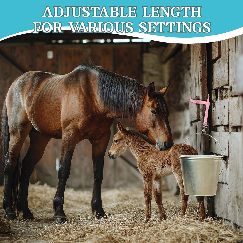 Maasechs versatile bucket strap works across barns, trailers, and outdoor pens.