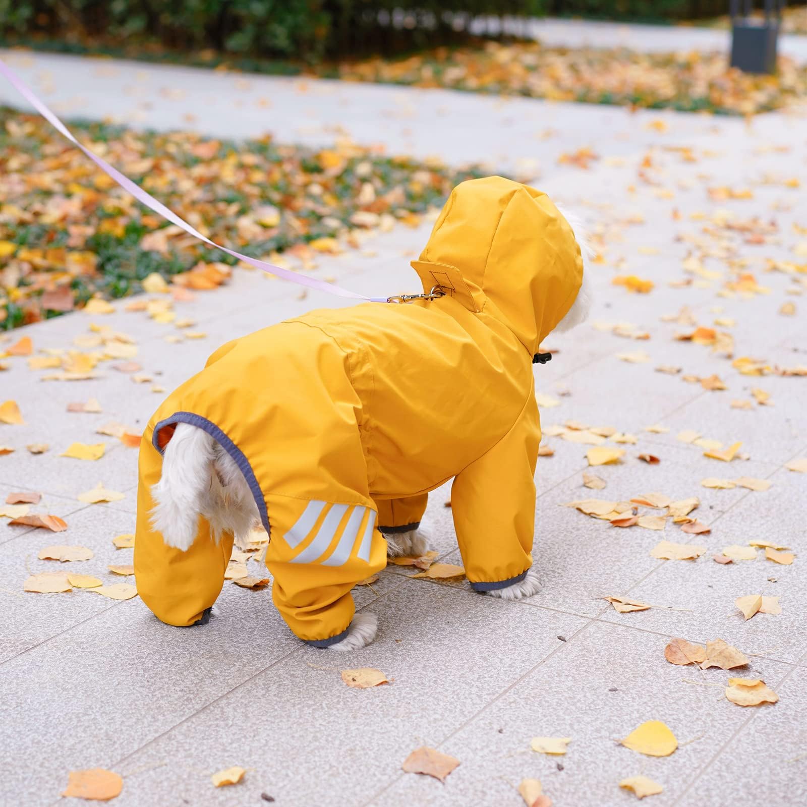 Mabawa dog raincoat back leash opening for rainy walks.