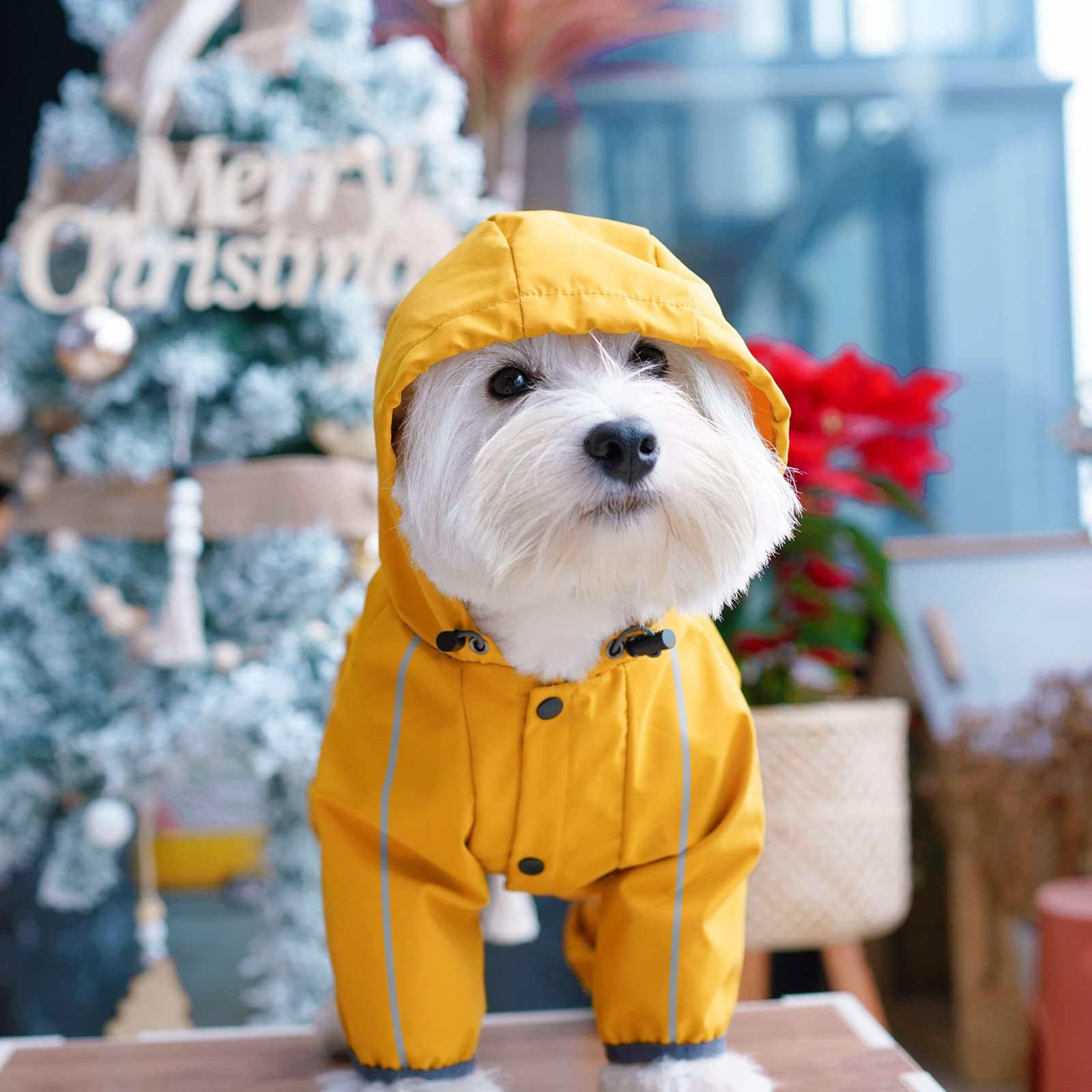 Mabawa dog raincoat elastic legs tail wrap for secure fit.