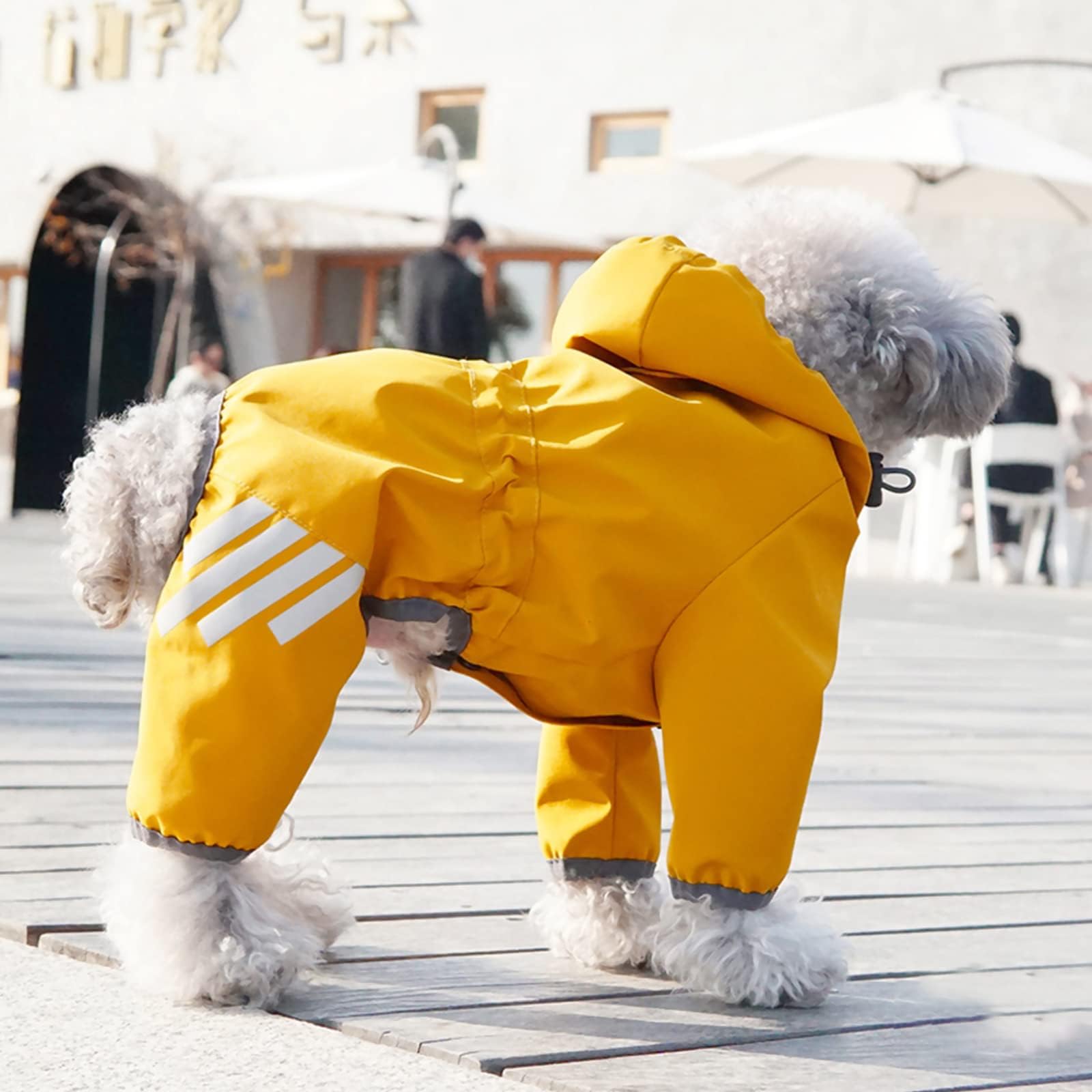 Mabawa dog raincoat neck waist drawstring for adjustable fit.