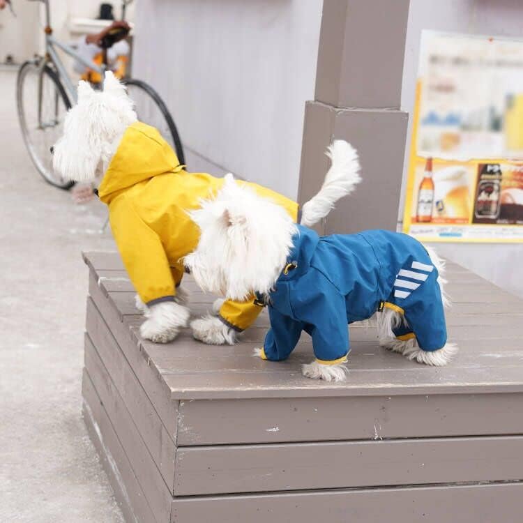 Mabawa raincoat for small to medium dogs during wet days.