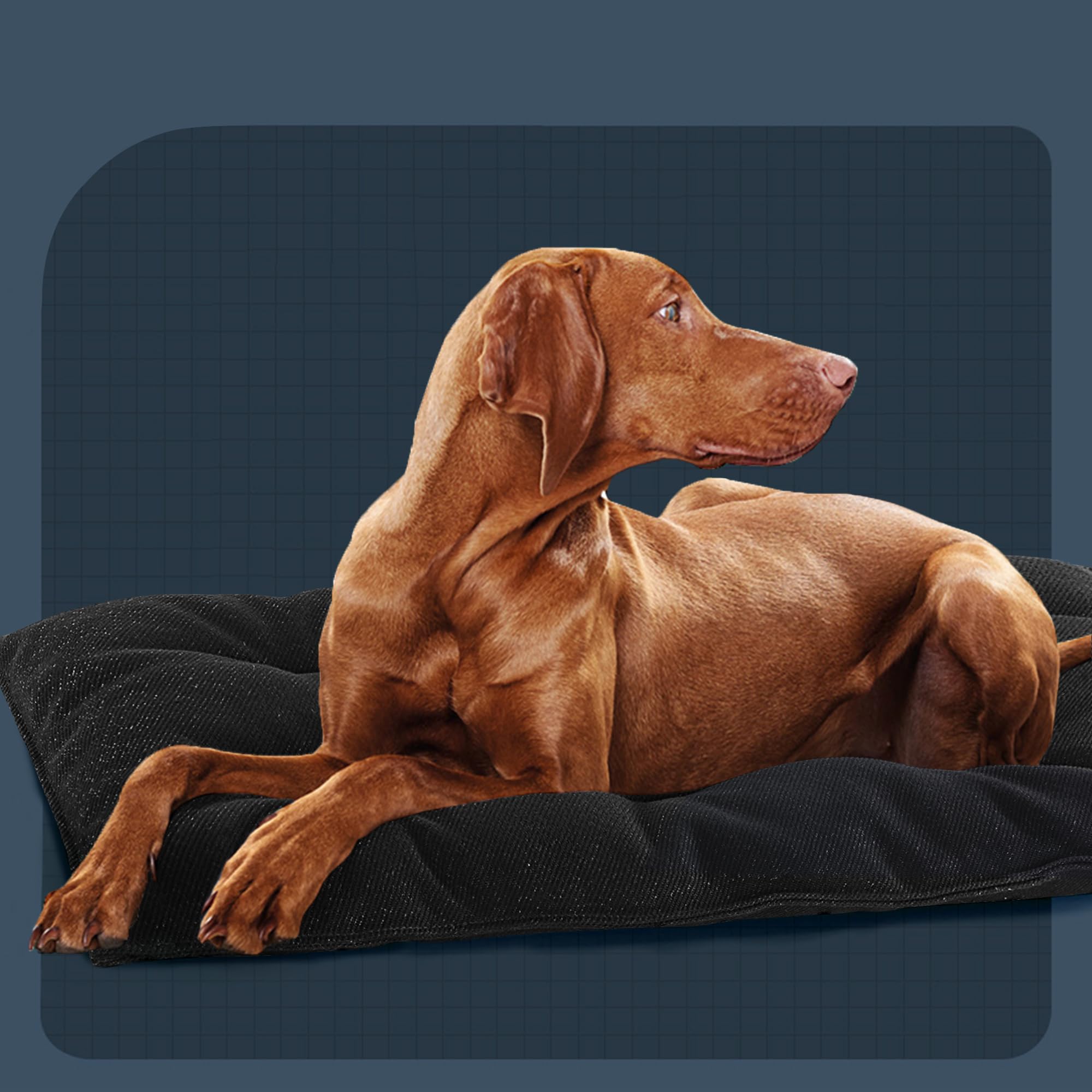 MABOZOO absorbent, leakproof pad helps prevent spills.
